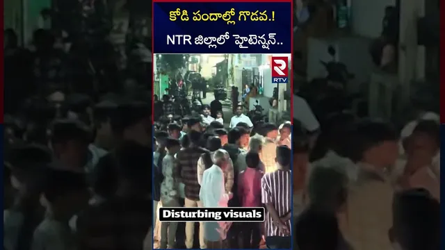 కో*డి పందాల్లో గొ*డవ.! NTR జిల్లాలో హైటెన్షన్.. | High Tension In NTR district | RTV
