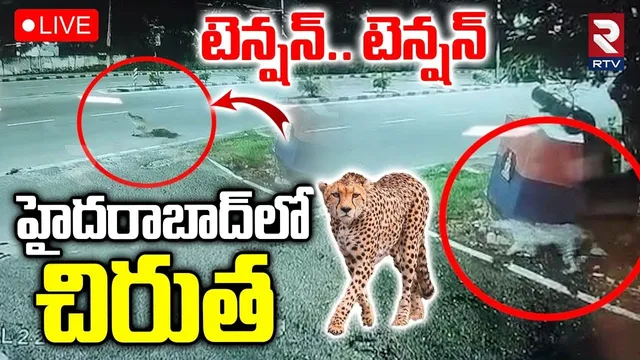 Leopard Spotted In Golconda Fort🔴LIVE : హైదరాబాద్‌లో చిరుత.. | Cheetah In Hyderabad | Chiruta | RTV