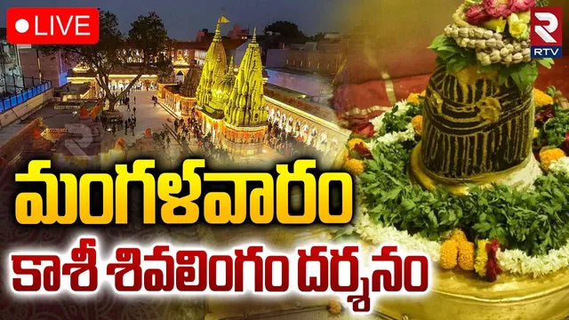 Kashi Shivalinga Darshanam🔴LIVE : మంగళవారం కాశీ శివలింగం దర్శనం | Varanasi Vishwanth Temple | RTV