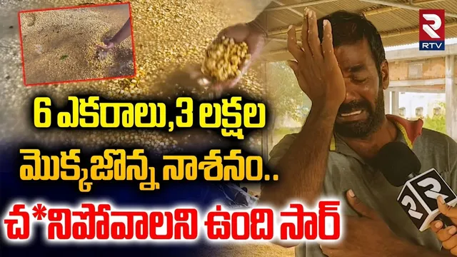 Cyclone Montha News | 3 లక్షల మొక్కజొన్న నాశనం | Kurnool Corn Farmers Emotional Words | RTV
