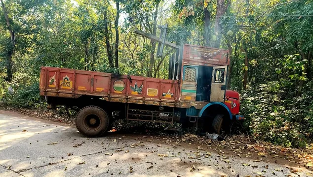 WhatsApp Image 2026-02-11 at 20.03.28