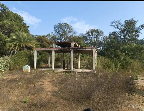 WhatsApp Image 2026-02-14 at 16.38.55