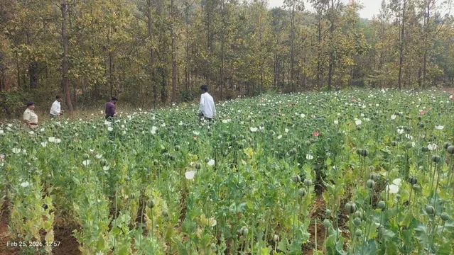 WhatsApp Image 2026-02-25 at 20.30.02