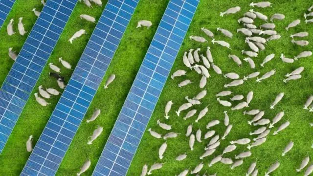 Agrivoltaics and solar grazing have been highlighted as practices linking PV plants with agricultural activities.