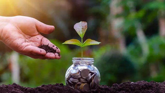  mutual fund schemes, म्यूचुअल फंड, बोले भारत