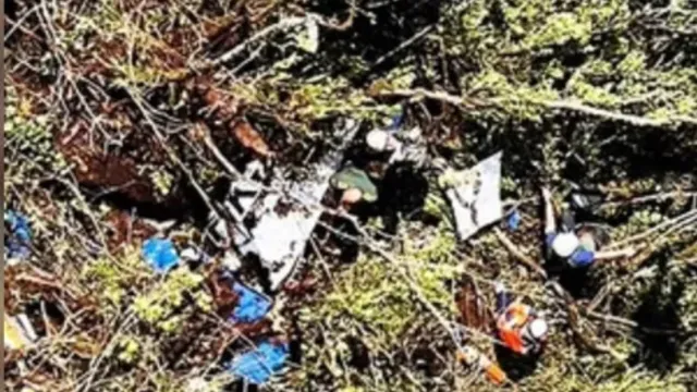 alaska viman, plane crash