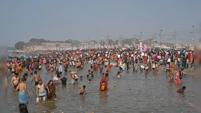maha kumbh,  insect automatic machines, यूपी में कीड़ों का मारने के लिए कुंभ की मशीनों को होगा इस्तेमाल, 