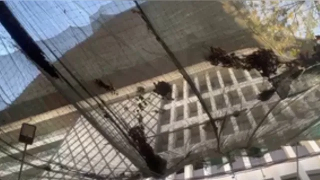 Mumbai Water Tank four laborers died
