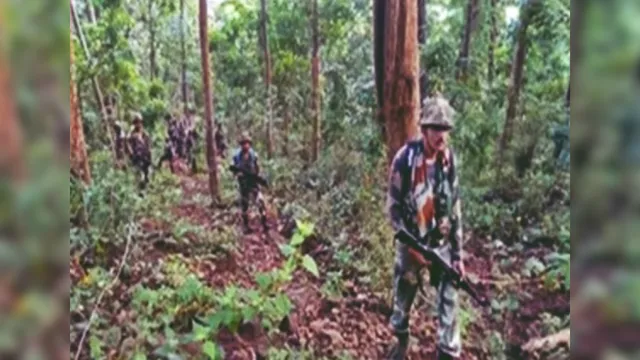  छत्तीसगढ़, बीजापुर, नक्सली ढेर, नक्सल मुक्त भारत, बीजापुर समाचार,