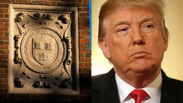 donald trump freeze funding to harvard university for not accepting demands of white house 
