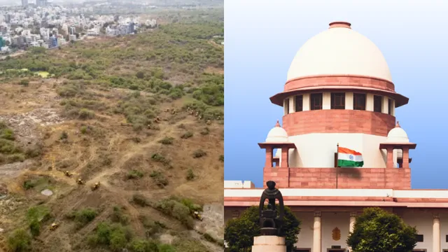 supreme court on tree felling in kanacha gachibowli in telangana 