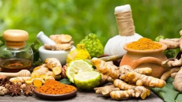 Ayurveda Day