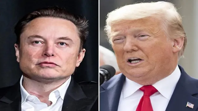 Elon musk donald trump