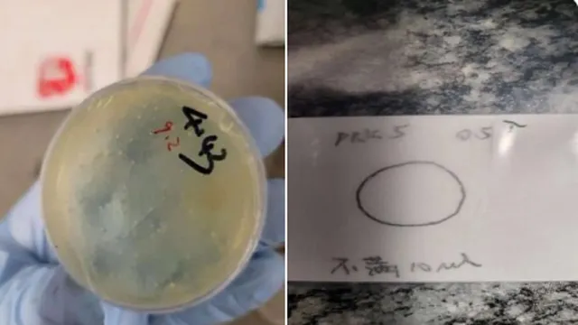 biological materials 1