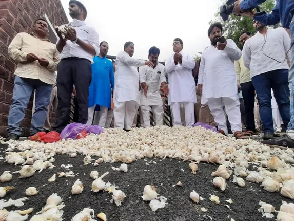Lucknow High Court orders investigation of Chinese garlic summons investigation report within 15 days