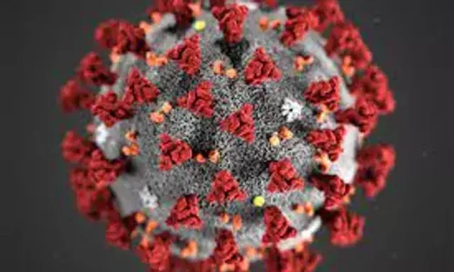 250,000 volunteers in Kerala to be trained to detect zoonotic diseases
