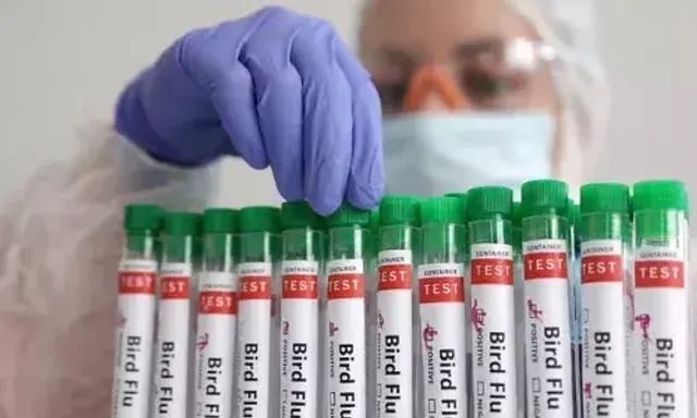 US CDC issues advisory for bird flu crisis in country
