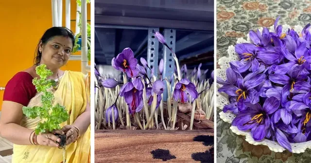 Once told saffron grows only in Kashmir, Sujata Agarwal set out to prove otherwise in her Odisha home.