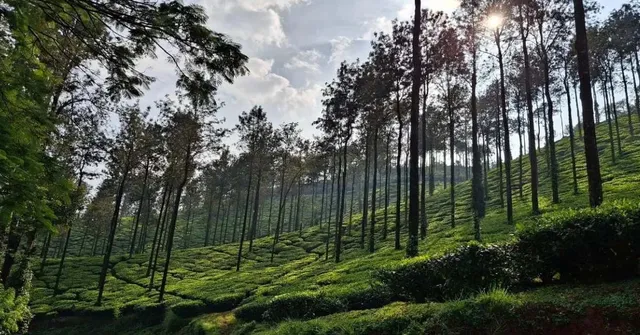 Explore the serene hills, coffee estates, and scenic treks of Chikkamagaluru in just four days on a budget