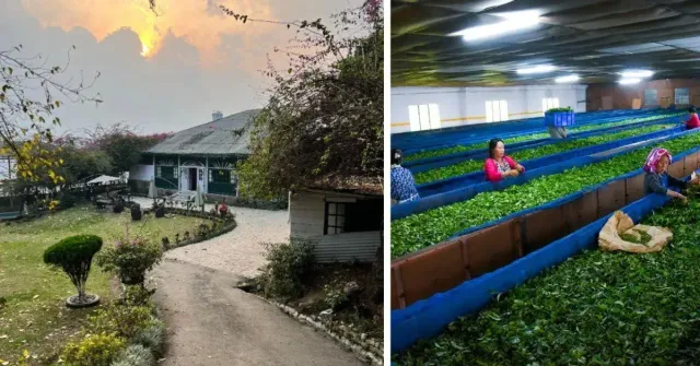 From heritage bungalows in the hills to tea leaves being hand-processed with care, India’s tea estates offer stays steeped in history and flavour.