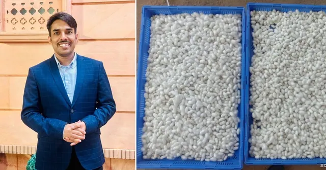 sericulture