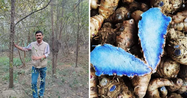 Utkrisht Pandey Rishigram Organics