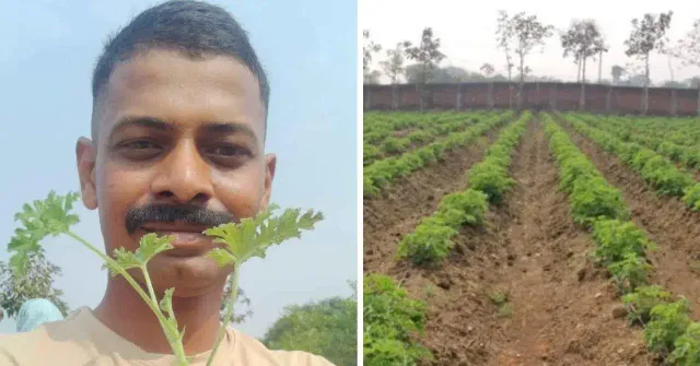 Lokesh Patade, once an electrical consultant, now leads Meadow Agrotech, training farmers in geranium cultivation.