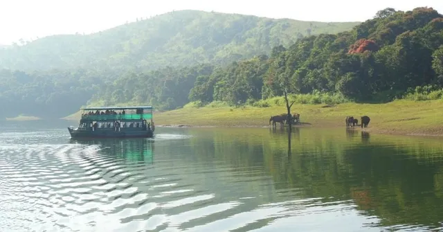 wayanad wildlife national park kerala
