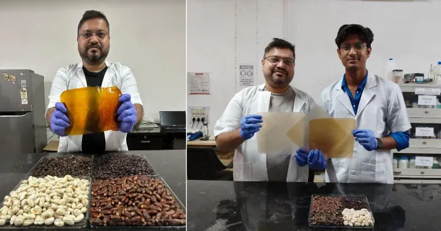 Films made from fruit seeds like jackfruit, jamun & litchi can keep tomatoes fresh for 15 extra days — then vanish into the soil in 60.