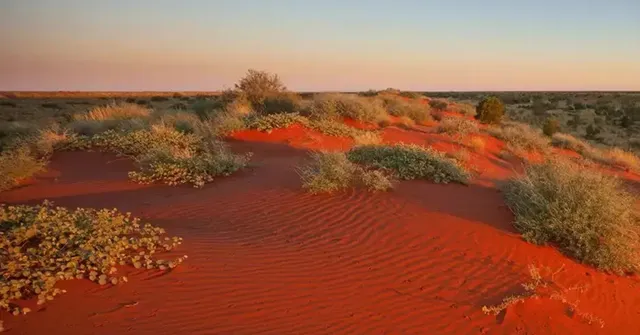 Shaped by time and iron-rich soil, Theri Kaadu’s crimson sands still move with every gust, rewriting the land each day.