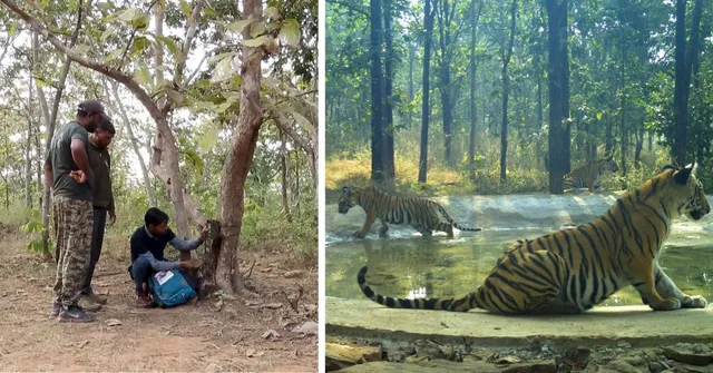 The Urban Tiger Volunteer Programme empowers Bhopal’s youth to safeguard their forests