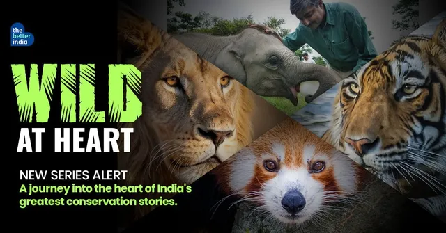 wildlife conservation