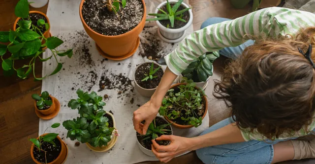 Winter indoor gardening with kids