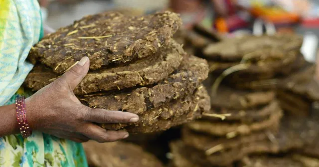 cow dung urban gardening