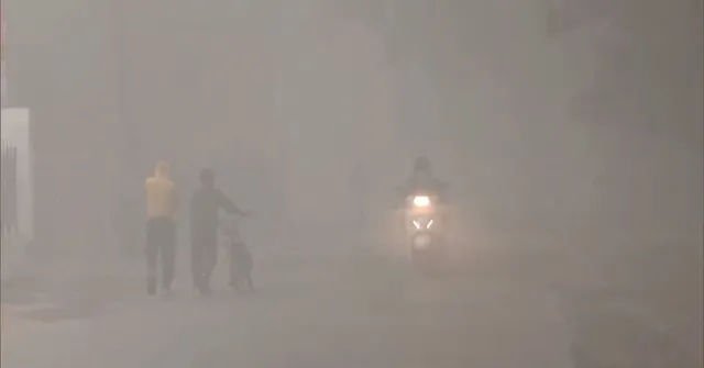 delhi fog