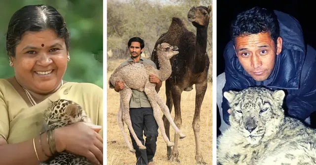 These wildlife heroes across India safeguarded species, restored habitats, and inspired coexistence in 2025.