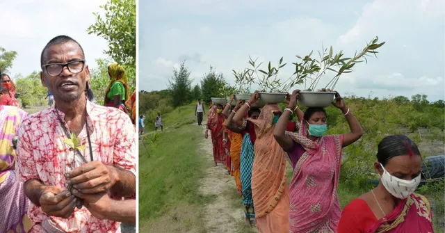 Led by Akul Biswas, 200 homemakers came together to revive mangroves across 23 Sundarbans villages.