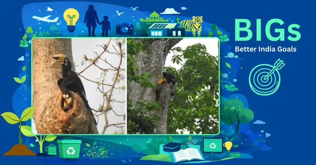 Lessons from changemakers guide my 2026 goals towards small, steady actions that create impact. Photograph: (Taring Tachang)