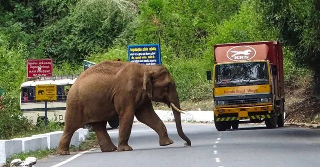 Karnataka wildlife monitoring centre