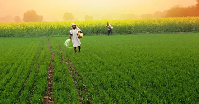 Sustainable rabi season farming