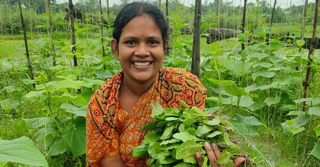 high value winter crops