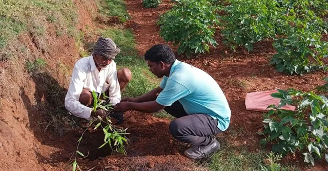 carbon credit for farmers