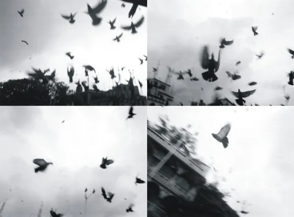Blind With Camera: Images from a world that is not seen