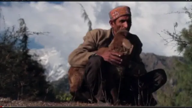 Corporate Initiative: Help Atmaram And His Sheep Survive Harsh Winters (Tata Capital’s ‘Half Stories’ Series)