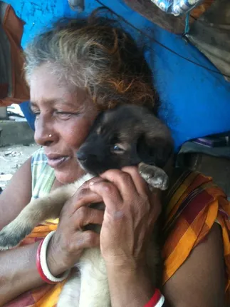 The Incredible Dog Rescuers And Animal Lovers Of India - They Keep Our Hope Alive In Humanity!