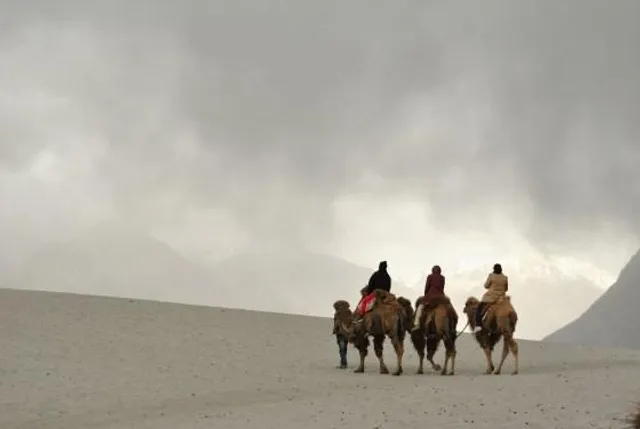 A For Apricots, B For Buddhism, C For... - Presenting The Complete A to Z of Leh, Ladakh