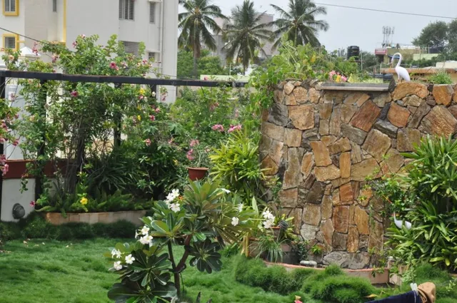 YOUR VIEW: Here Is How You Can Create A Tiny Organic Farm On Your Terrace