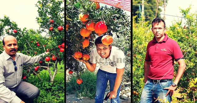 Want to Invest in Agriculture but Don't Know Where to Begin? These Engineers Can Help.