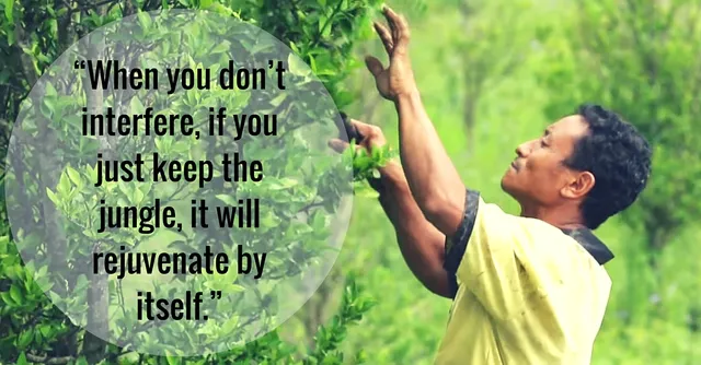 WATCH: The Film on the Relentless Conservation Efforts by Nagaland Villagers That Just Got Awarded
