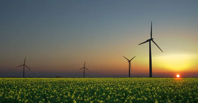 Cheaper Renewable Energy Soars Past Nuclear Power In India